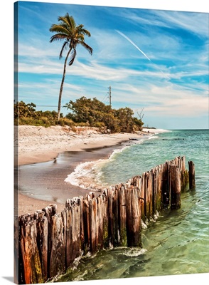 Southwest Florida, Gulf Of Mexico, Sanibel Island, Beach Scene
