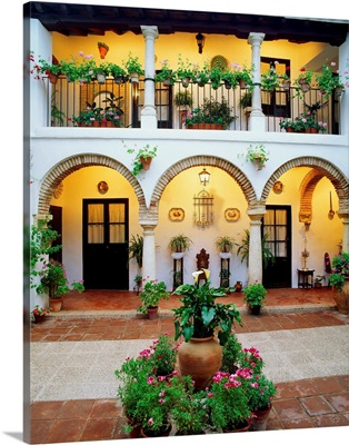 Spain, Andalucia, Cordoba, Typical courtyard (patio)