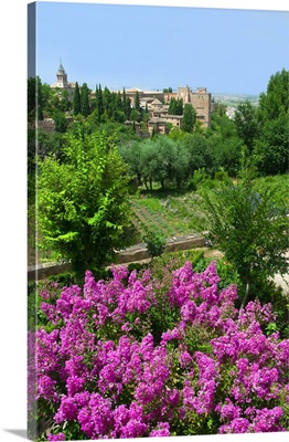Spain, Andalusia, View of the Alhambra Palace from the Garden
