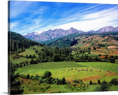 Spain, Cantabria, landscape scenery