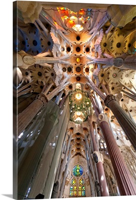 Spain, Catalonia, Barcelona, Barcelona district, Sagrada Familia, Ceiling