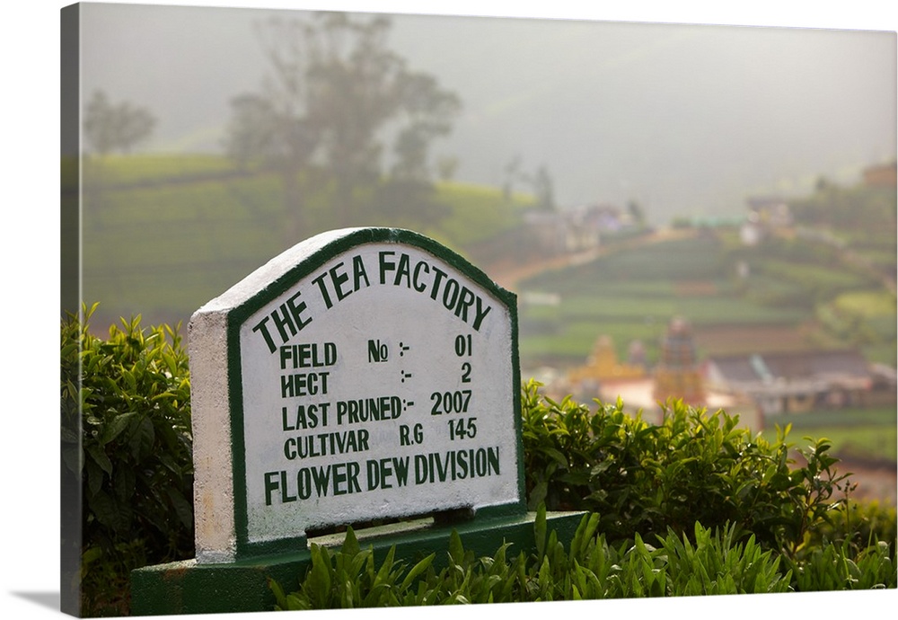 Sri Lanka, Central Province, Nuwara Eliya, Tea Factory signage
