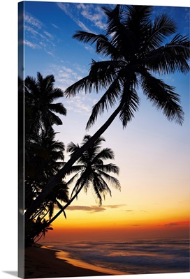 Sri Lanka, Southern Province, Mirissa, Beach at Sunset
