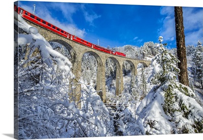 Switzerland, Alps, Bernina Express Passes Through The Snowy Woods Filisur