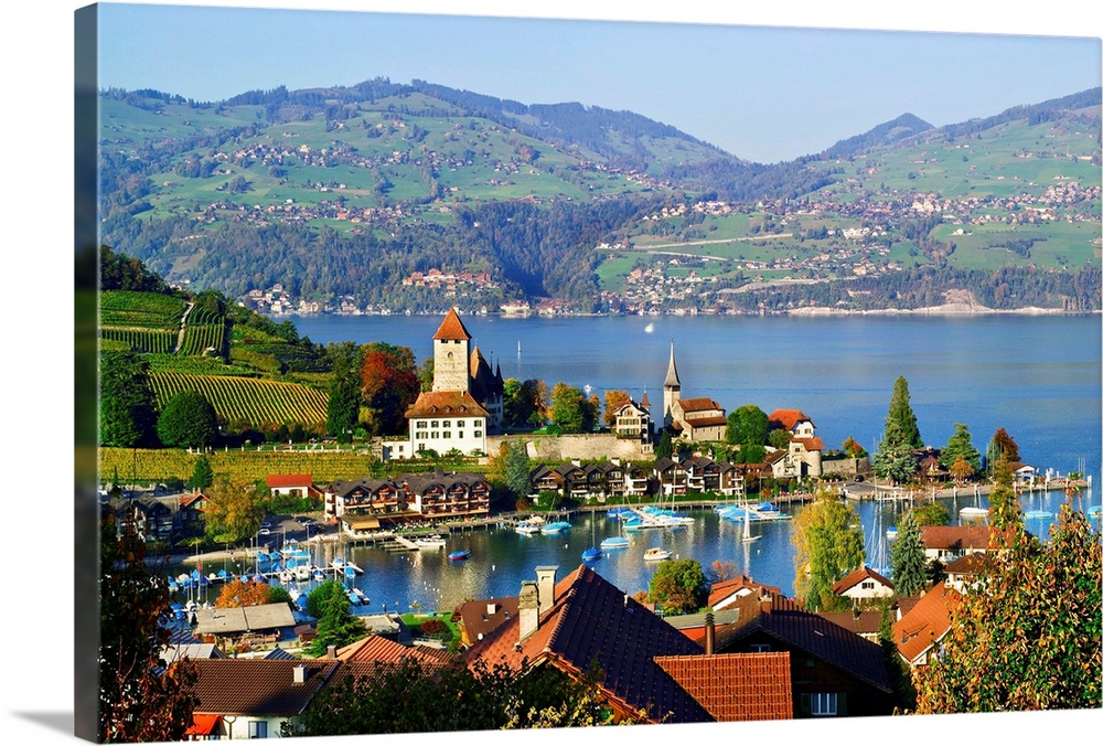 Switzerland, Bern, Berner Oberland, Lake Thun, Spiez, medieval castle, vineyards