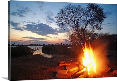 Tanzania, Selous Game Reserve, Impala camp