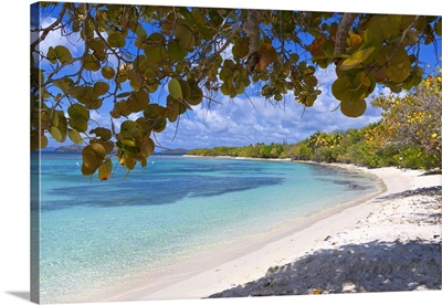 U.S. Virgin Islands, St. Thomas, Smith Beach
