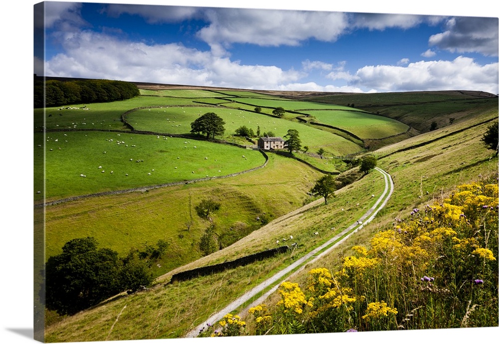 UK, England, Great Britain, Derbyshire, Edale, Typical landscape