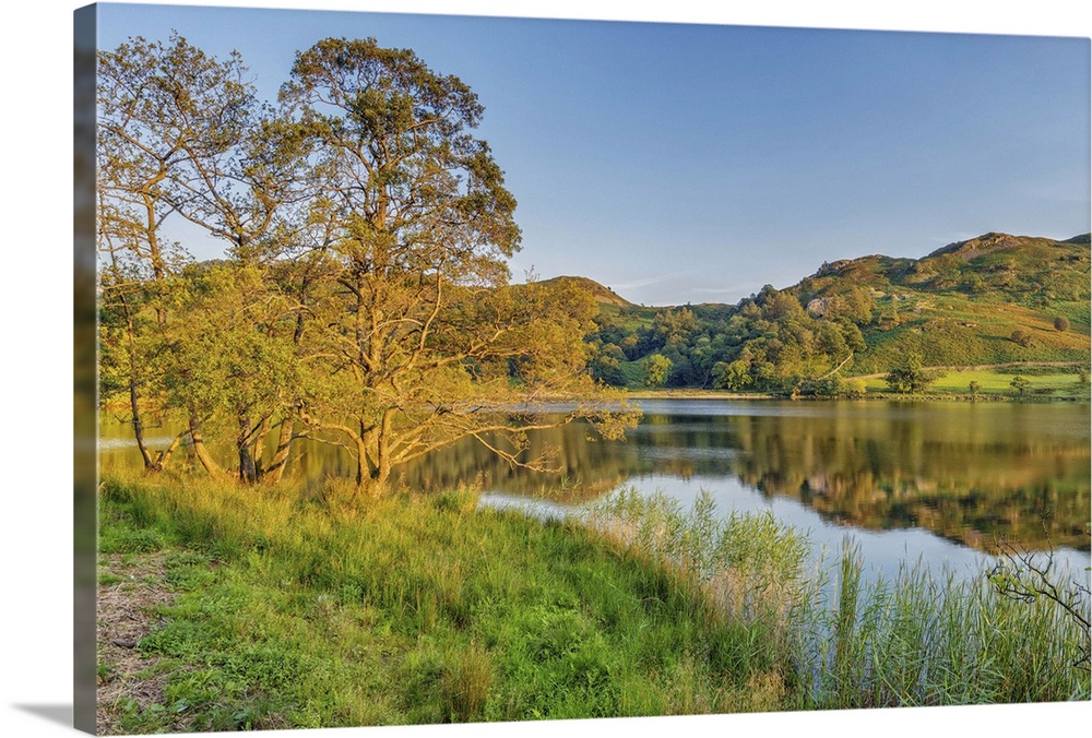 United Kingdom, UK, England, Great Britain, Lake District, Cumbria, Rydal Water, The lake in the afternoon sun