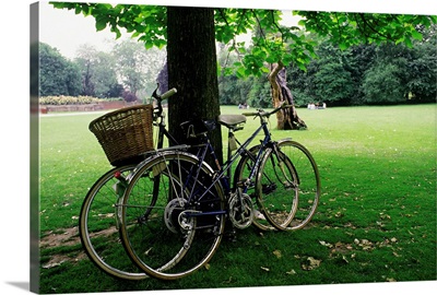 UK, England, London, Holland Park, bikes