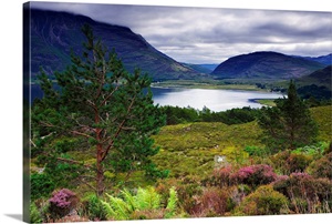 UK, Scotland, Highlands, Loch Torridon and Liatach mountain in background image thumbnail