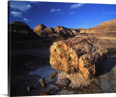 United States, Arizona, Petrified Forest National Park, petrified wood in Blue Mesa Area