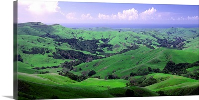 United States, California, San Luis Obispo, San Luis Obispo county, rolling landscape