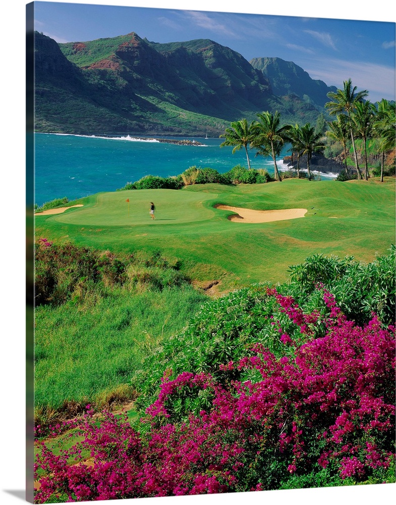United States, Hawaii, Kauai island, Lihue, Kalapaki bay, Lagoons golf course