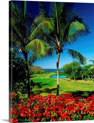 United States, Hawaii, Maui island, Makena Golf Courses