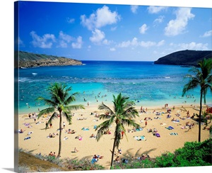 United States, Hawaii, Oahu island, Hanauma Bay image thumbnail