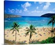 image thumbnail of United States, Hawaii, Oahu island, Hanauma Bay
