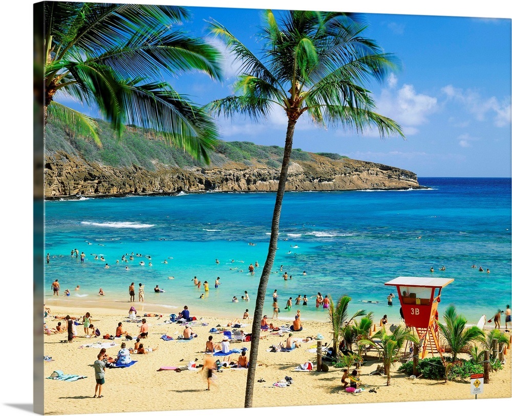 United States, Hawaii, Oahu island, Hanauma Bay Wall Art, Canvas Prints