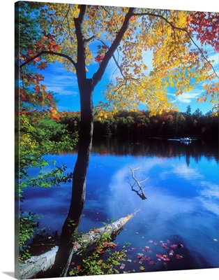 United States, New York State, Adirondacks, View of a lake