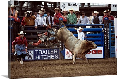 United States, USA, Wyoming, Cody, Xtreme Bulls Rodeo