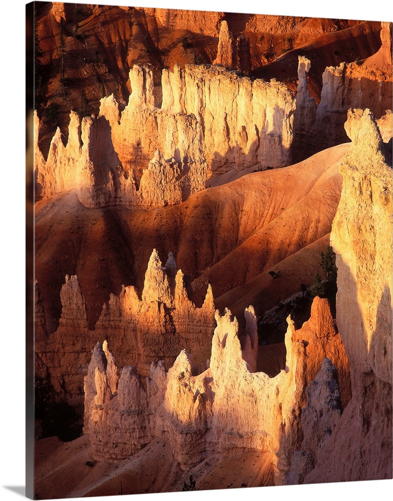 United States, Utah, Bryce Canyon National Park, natural pinnacles