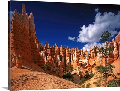 United States, Utah, Bryce Canyon National Park, Queen's Garden
