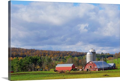 United States, Vermont, Farm near Randolph town