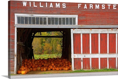 United States, Vermont, Farm near Rutland town
