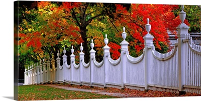 United States, Vermont, Wooden fence and autumnal trees