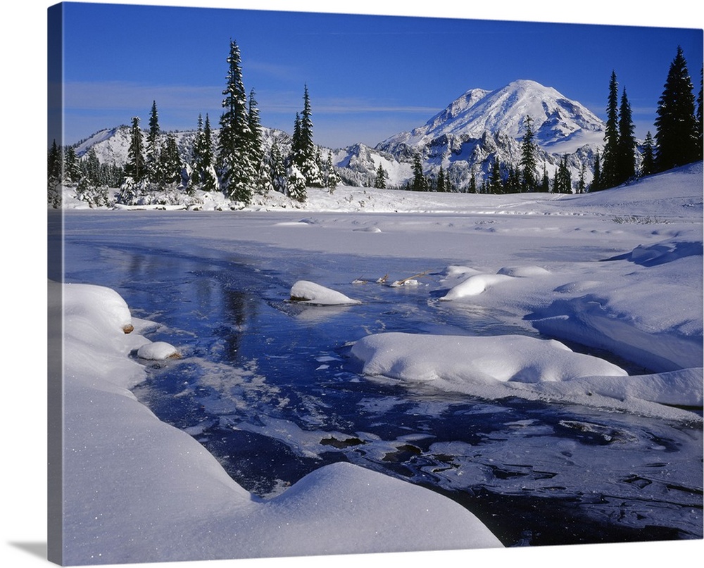 United States, Washington State, Mt. Rainier