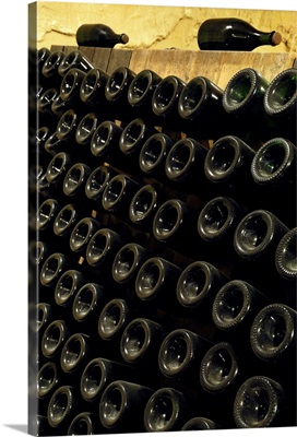 USA, California, Sonoma, Bottles of wine in the cellar, Kobel Winery