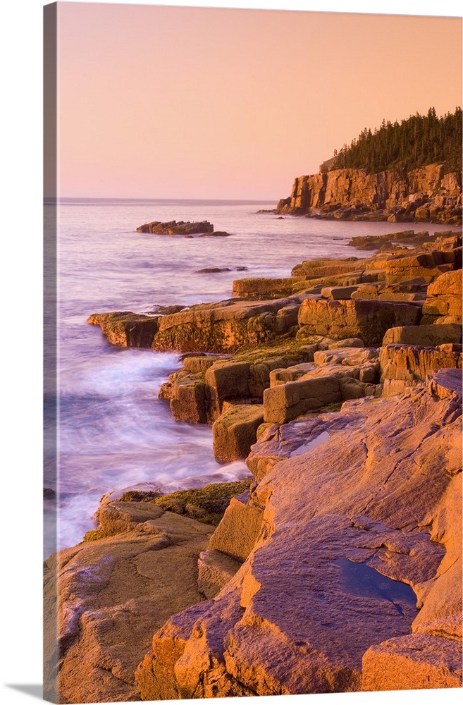 USA, Maine, Mount Desert Island, Otter Cliffs at dawn