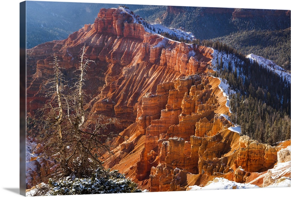 USA, Utah, Cedar Breaks State Park, view from Panorama point.