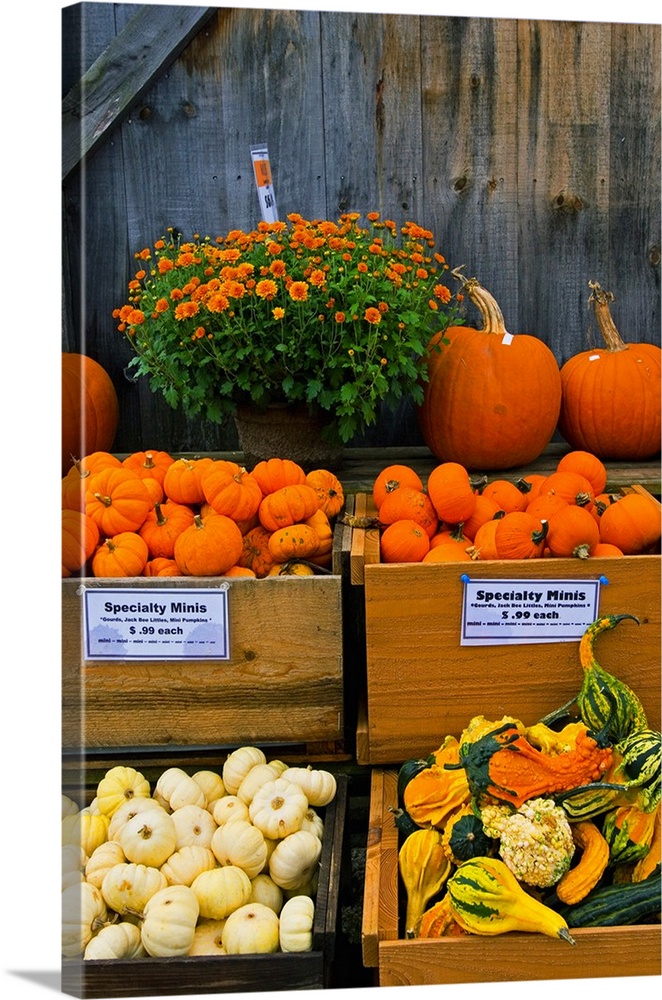 Vermont, Woodstock, farmers market produce
