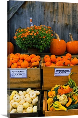 Vermont, Woodstock, farmers market produce