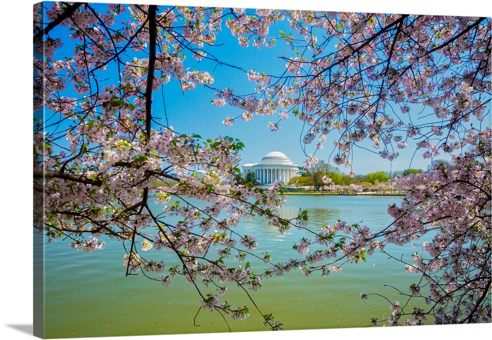 Washington, D.C. Jefferson Memorial During Springtime.