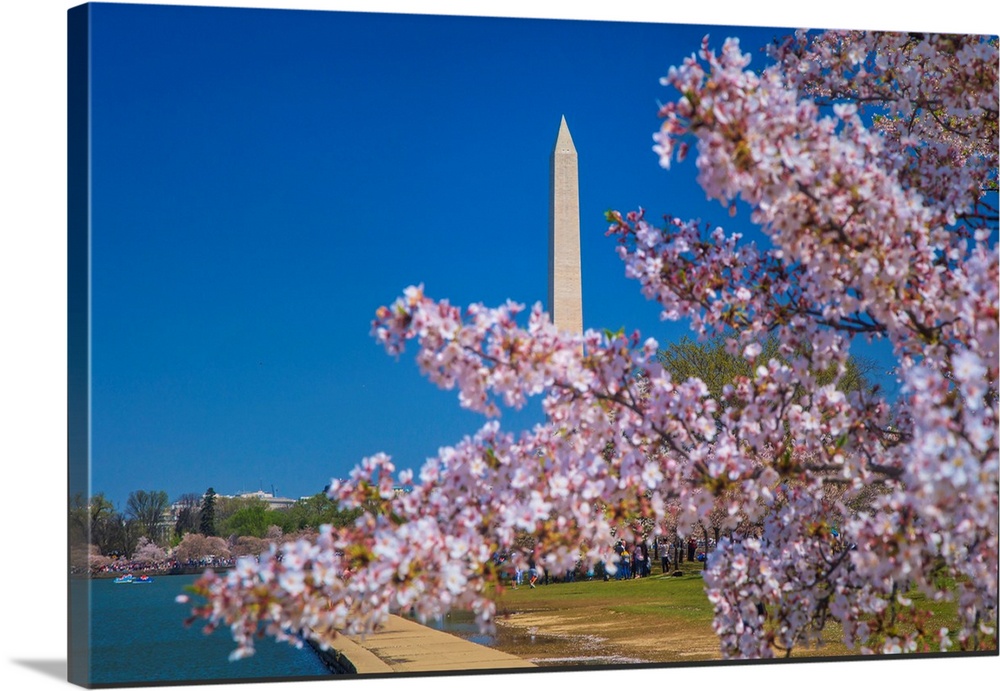 Washington, D.C. Washington Monument During Springtime.