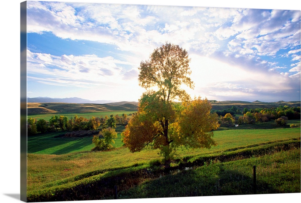 United States, USA, Wyoming, Landscape near Sheridan