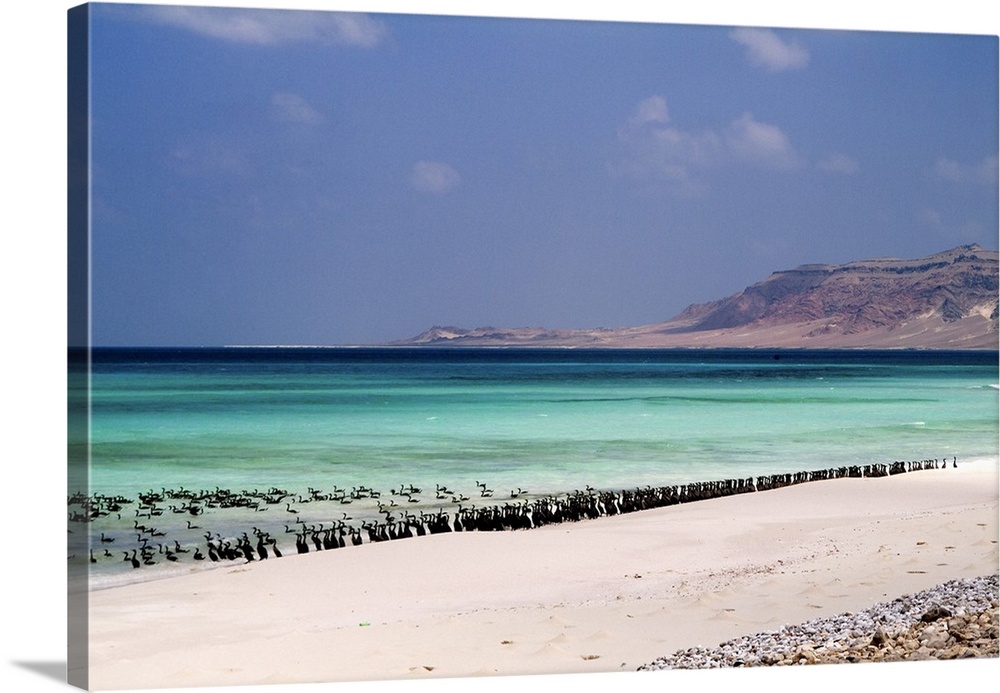 Yemen, South Yemen, Socotra, Indian ocean, beach of Ar-Ar
