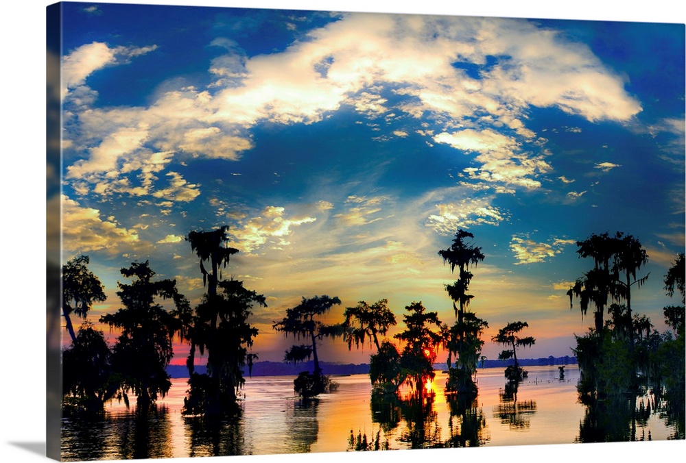 Landscape featuring cypress swamp at sunset.