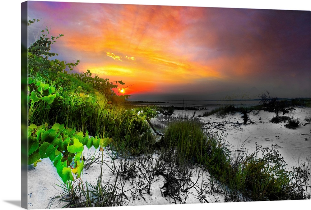 A red sunset through a green vine landscape with selective color.