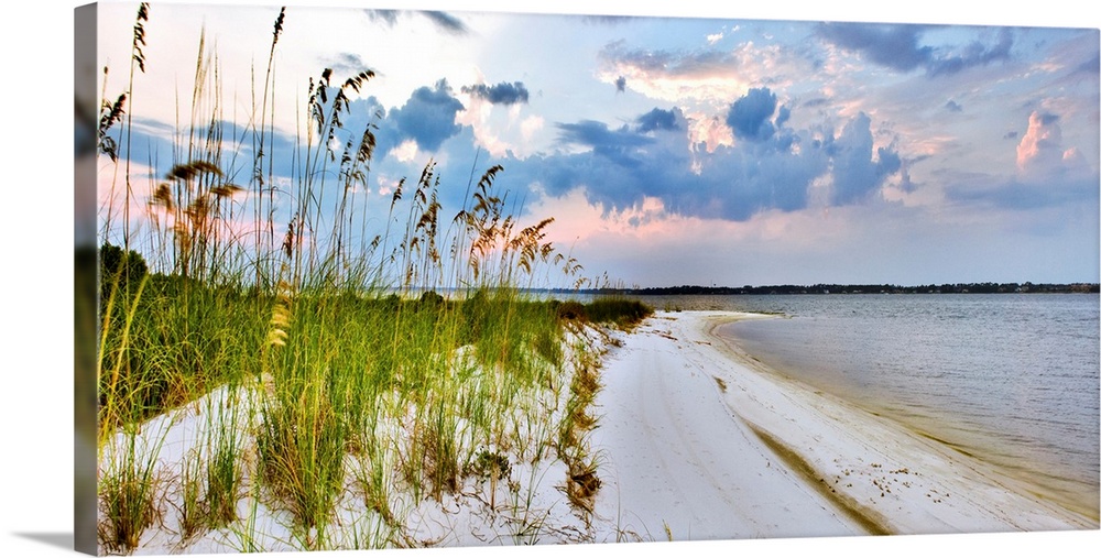 A panoramic with blue and purple clouds over a grassy beach. Sea Oats can be seen reaching into the sky. Landscape taken n...