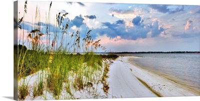 Panoramic Landscape With Green Grass And Sea Oats