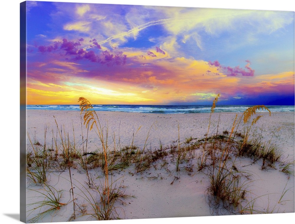 Sea Oats under a blue and Purple Sunrise on a Florida beach.  A landscape near Navarre Beach, Florida.