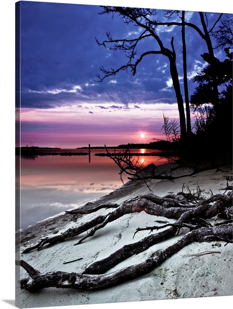 A sandy bank along a river sunset with exposed tree roots.