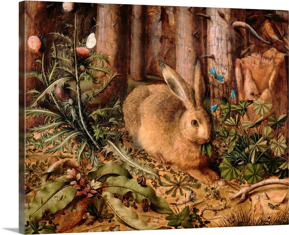 A Hare in the Forest, by Hans Hoffmann, c. 1585, German painting, oil on panel. Minutely detailed painting of a hare and m...