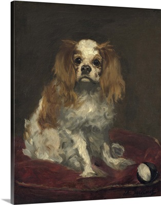 A King Charles Spaniel, by Edouard Manet, 1866