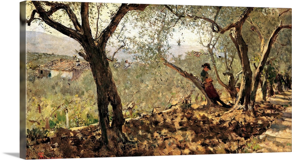 Signorini Telemaco, Among the Olive Trees, Settignano, 1881, 19th Century, oil, Italy, Tuscany, Montecatini Terme, Pistoia...