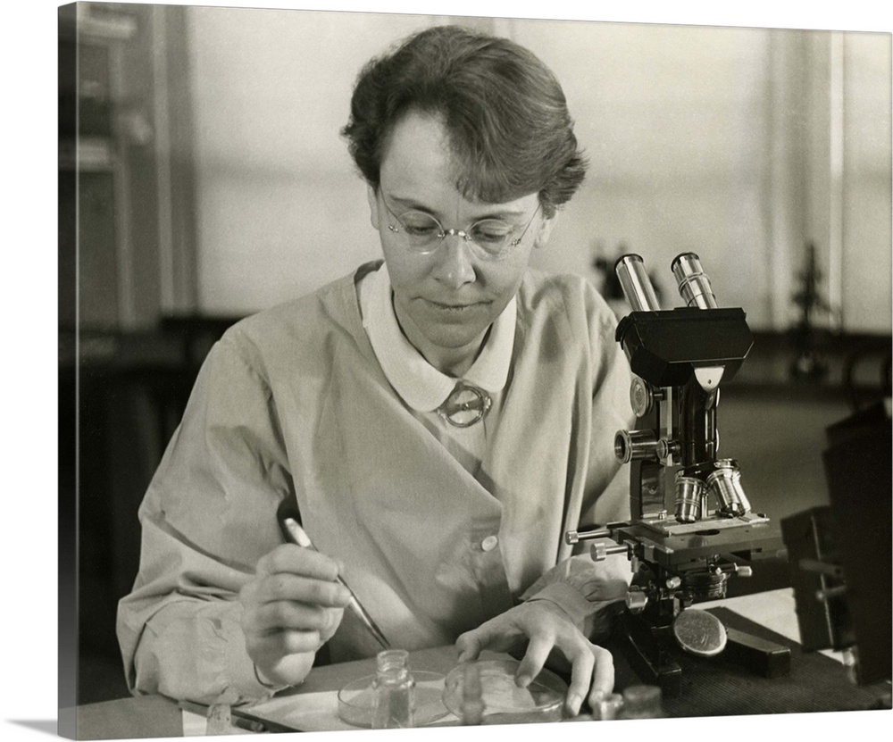 Barbara McClintock, in her laboratory at Cold Spring Harbor, New York, in 1947. The geneticist won the 1983 Nobel Prize fo...