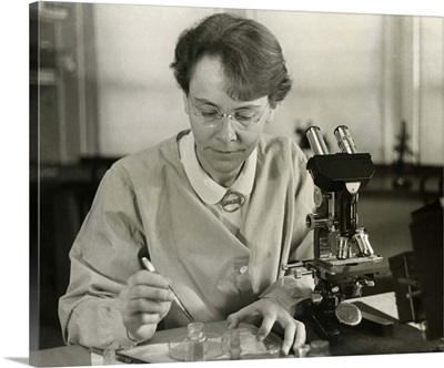 Barbara McClintock, in her laboratory at Cold Spring Harbor, New York, in 1947